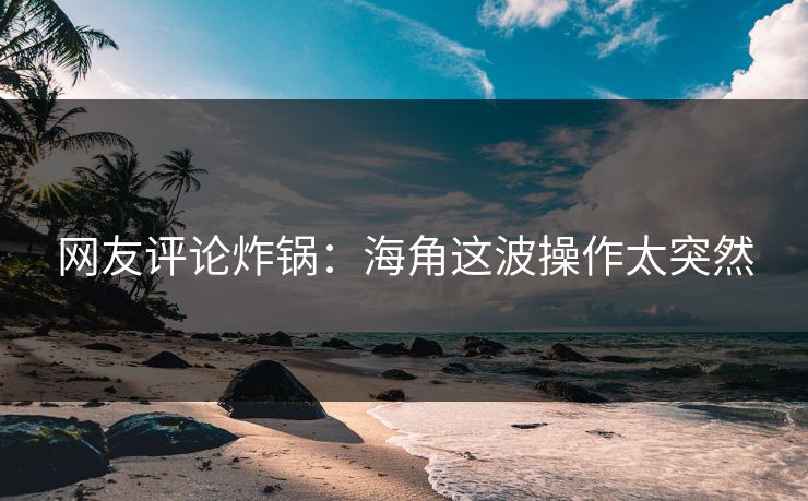 网友评论炸锅：海角这波操作太突然
