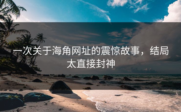 一次关于海角网址的震惊故事，结局太直接封神