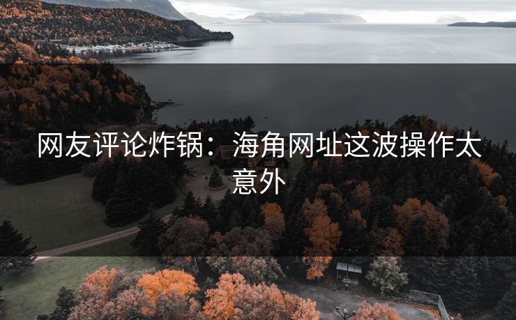 网友评论炸锅：海角网址这波操作太意外