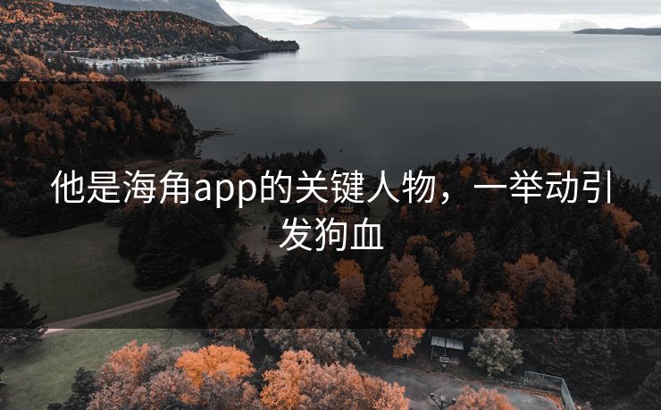 他是海角app的关键人物，一举动引发狗血